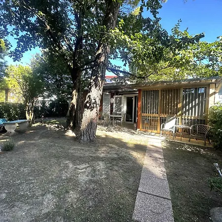 Near In 54721 * Бібіоне