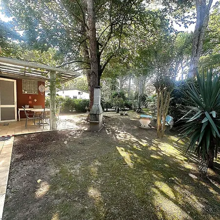 Apartamento Near In 54721 Bibione