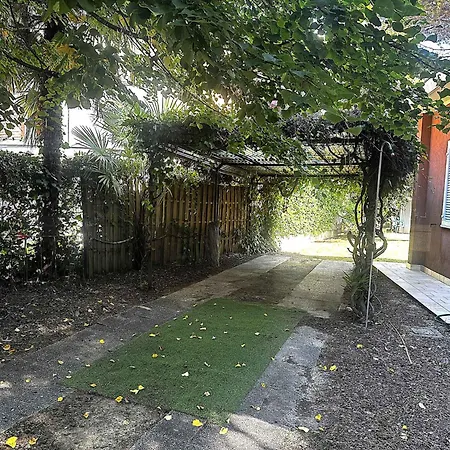 Near In 54721 Apartman *